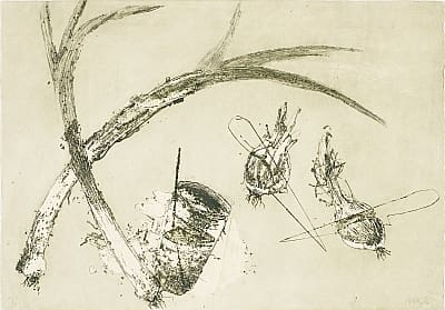 Puerros, cebollas, cuchillos y vaso